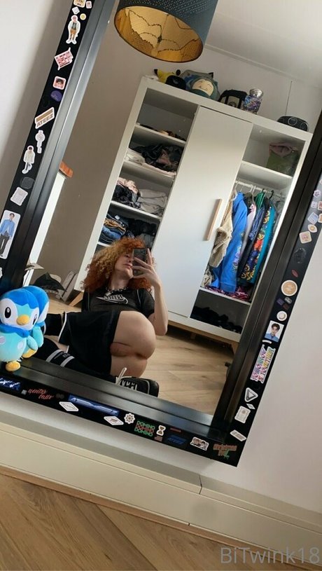 Bitwink18