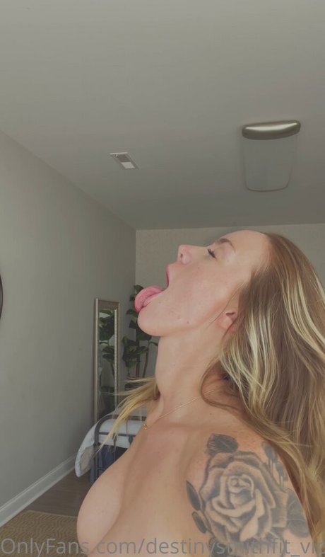 Destinysmithfit