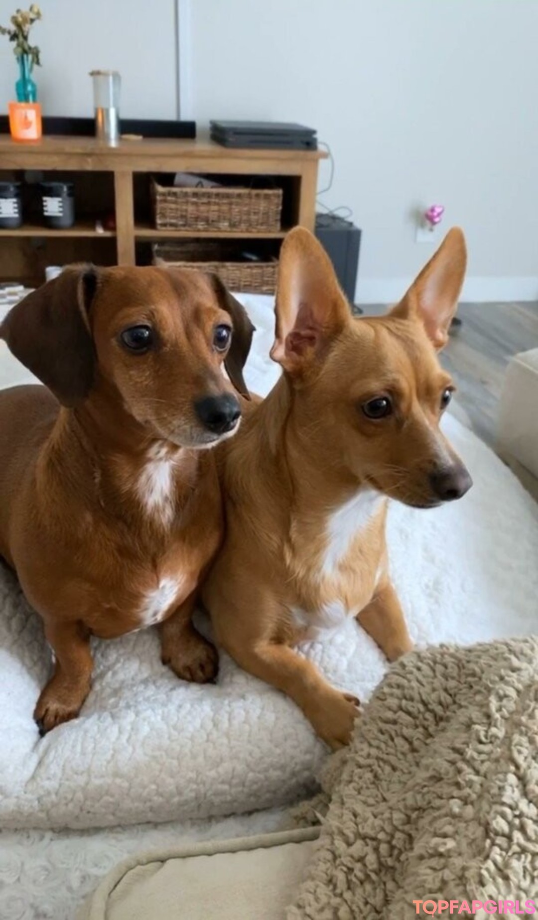 Naakte gelekte OnlyFans-foto van Princess Mary #12