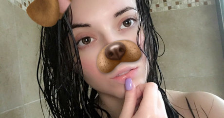 Taylorherd02