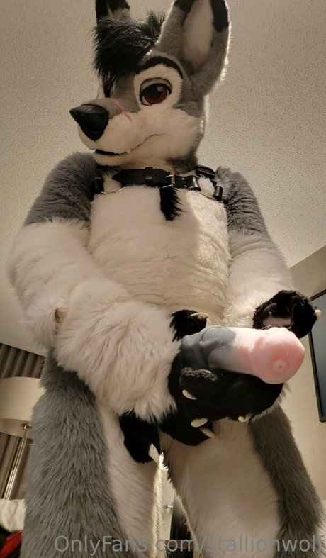 Stallionwolf