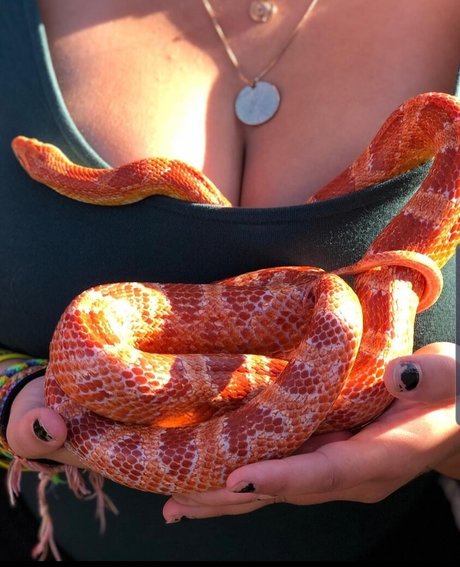 Isabellaell