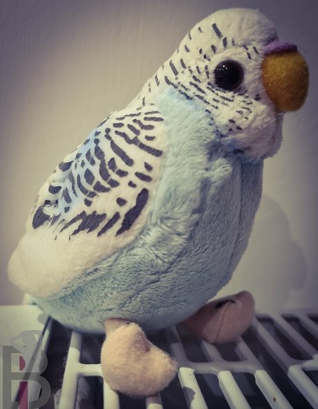 Bellelou