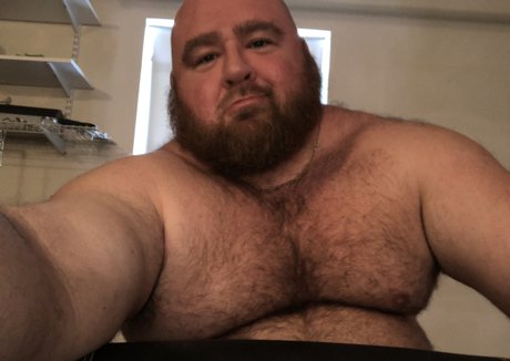 Gainerbull
