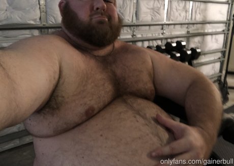 Gainerbull