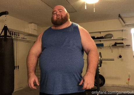 Gainerbull