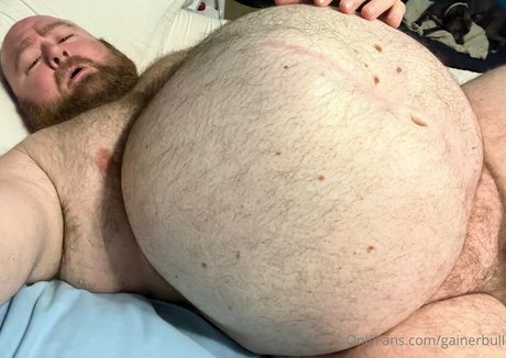 Gainerbull