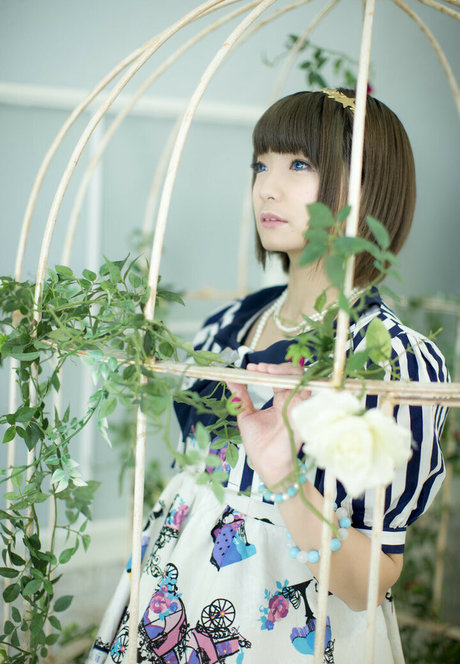 Ayame_apricot