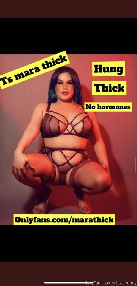 Thickbunnylexi