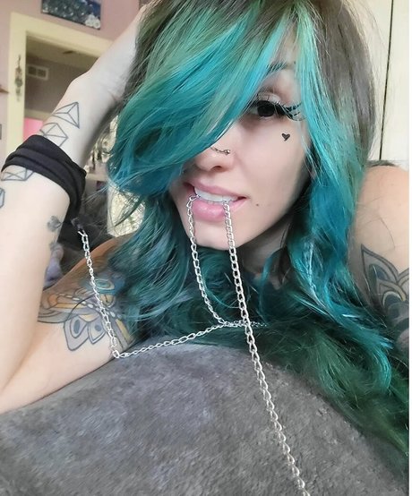 Hollyborealis