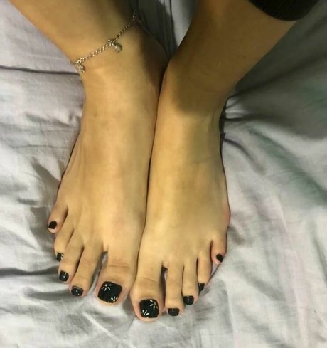 Anangelicassis
