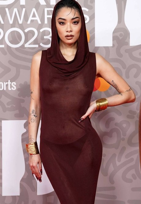 Nagie wyciekłe zdjęcie OnlyFans od Rina Sawayama