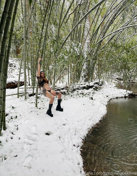 Hotdonna666free  nude leaked OnlyFans photo
