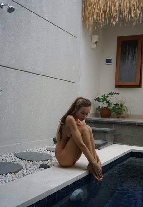 Miramaymodel