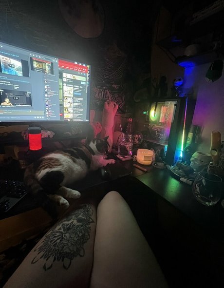 Kitty Titty OnlyFans泄露裸照