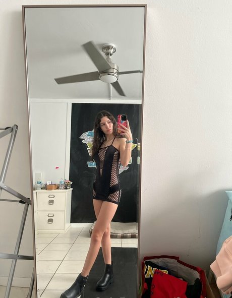 Frenchava